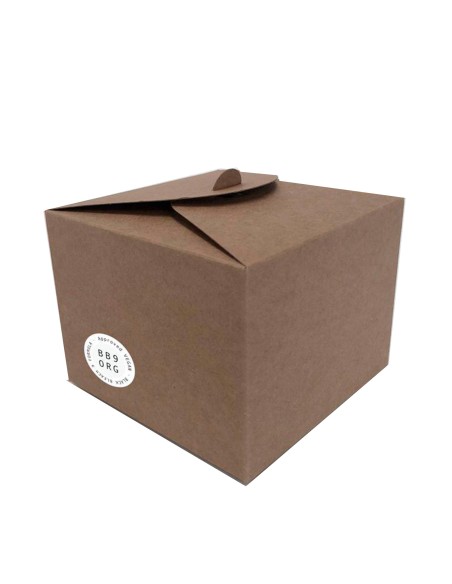 DECOLORACIÓN EN POLVO BB9 ORGÁNICA BLACK    500gr  9 tonos