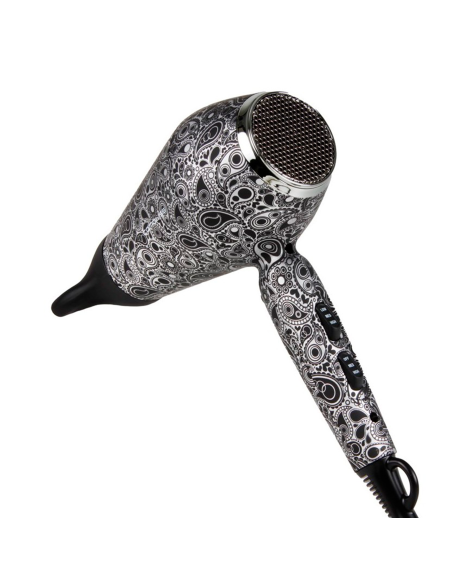 PACK CORIOLISS PLANCHA CABELLO C3 + SECADOR KOMPACTISSIMO PAISLEY SILVER